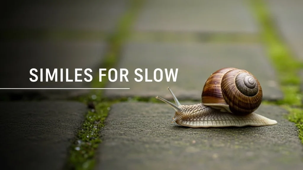 Similes for Slow