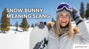 Snow Bunny Meaning Slang: What It Really Means Online