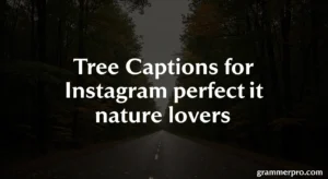 775+ Tree Captions for instagram perfect for nature lovers