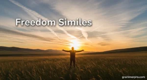 Freedom Similes