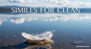 Similes for Clean
