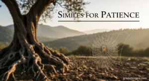 Similes for Patience