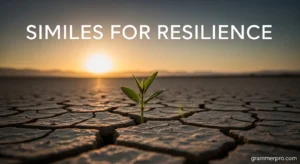 Similes for Resilience