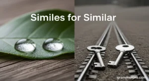 Similes for Similar